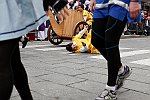Gara delle Bighe 2011-7770
